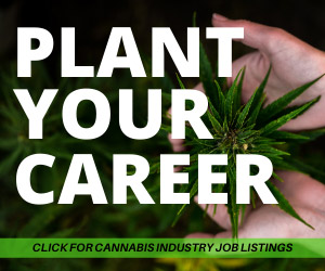 Cannabis Job Board