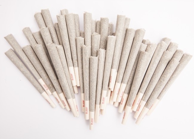 a bunch of one gram pre-roll joints