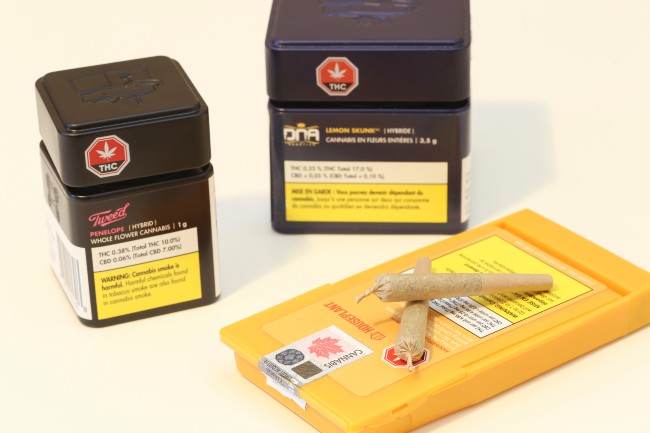 two preroll joints next to their packaging