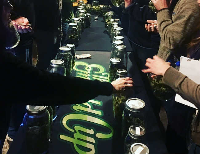 Turnout at the 2017 Emerald Cup