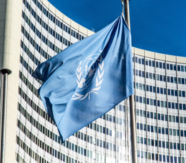 Flag of the United Nations