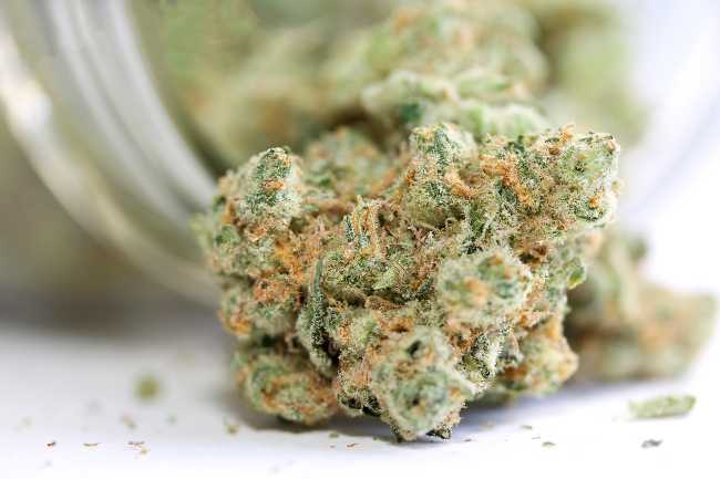 Image of a cannabis nugget in front of a glass jar.