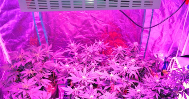 Led grow lights