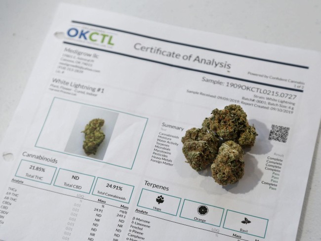 Cannabis and a certificate of analysis