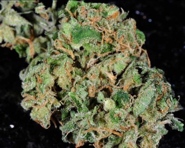 A photo of the strain strawberry cough