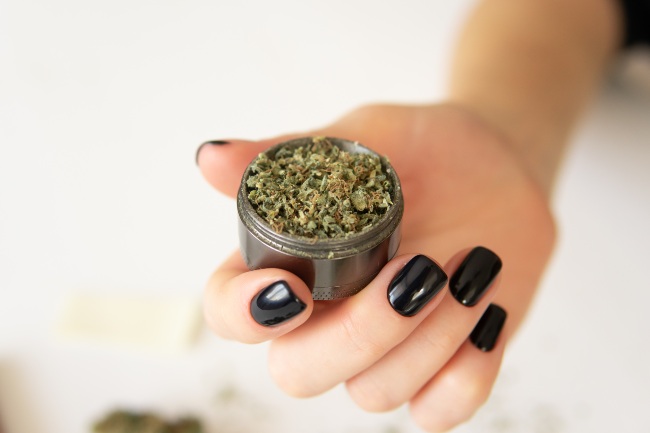 A hand with dark purple nail polish manicure is holding out a grey, metal grinder with dark army green weed ground down inside the container.