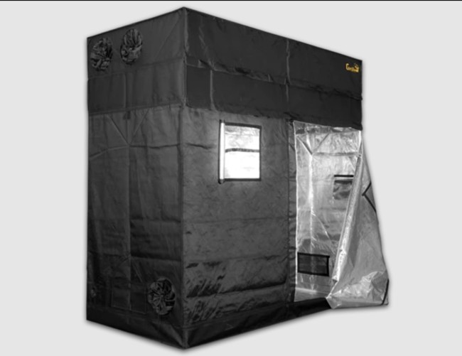 A Gorilla Grow tent