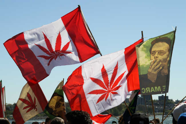 Progress Report: Canada's Legal Cannabis Market After 6 Months