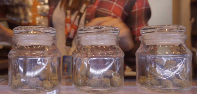 A Budtender Lines Up Jars