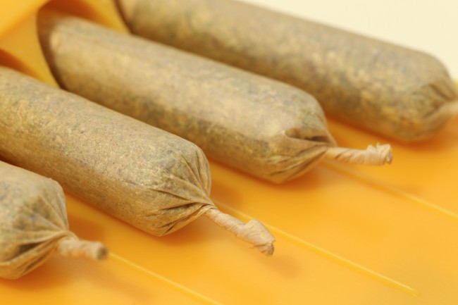 The tops of brown joints with paper twisted at the tops that are poking out of a yellow package with holes for each one.