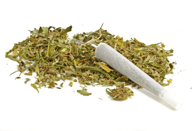 A pile of cannabis trim that is green, brown, and yellow with a joint sitting on top of the pile that is wrapped in a white rolling papers and and white filter at the tip.