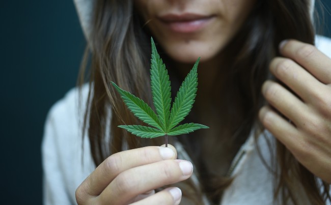 Woman's hand holding a pot leaf next her face and brown hair with a hood pulled up.