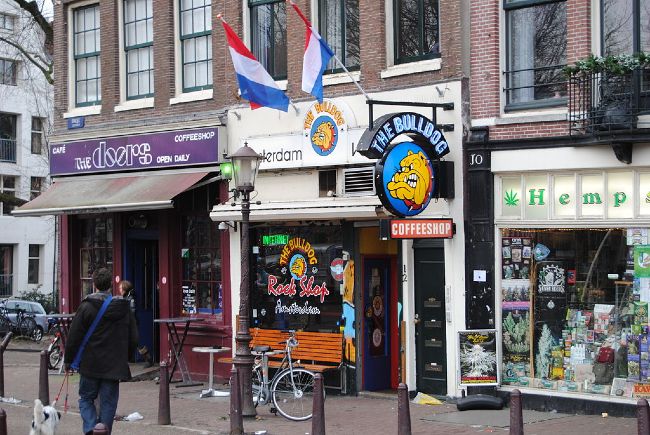 The Bulldog Cafe in Amsterdam