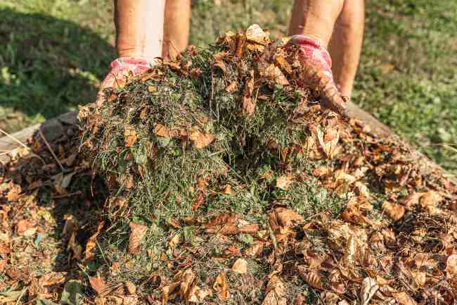 a person digs their hands into a pile of leaves and grass cuttings