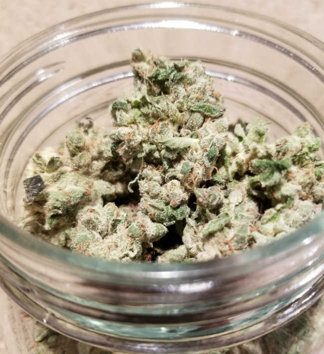 Weed storage Jar with cannabis inside sitting in the Light