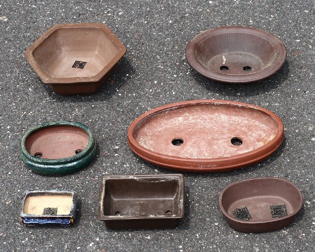 An assortment of bonsai pots