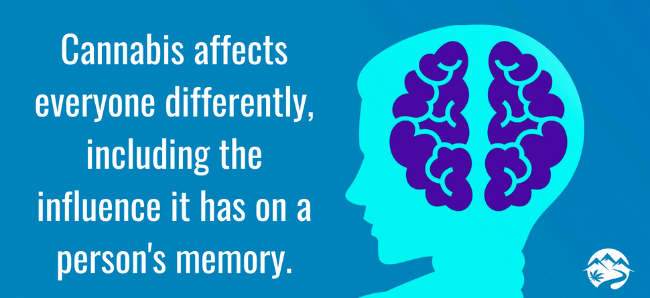 Does Consuming Cannabis Affect Your Memory? | PotGuide