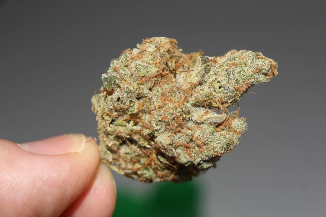 a cannabis nug