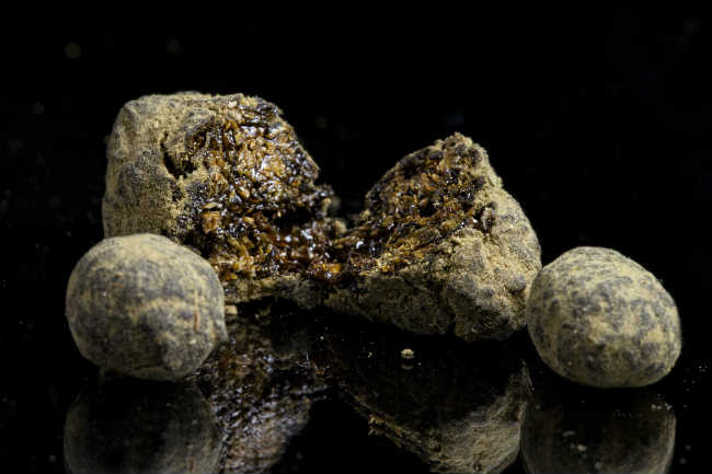 Moon Rock Cut in Half