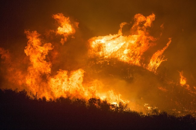 Forest fire in California