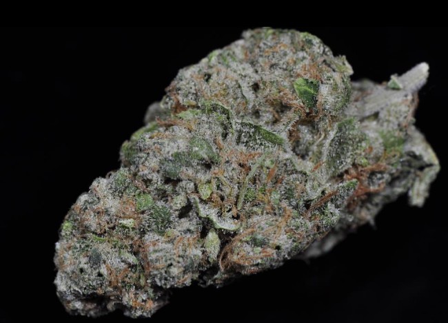 A stain pic of Grape Stomper
