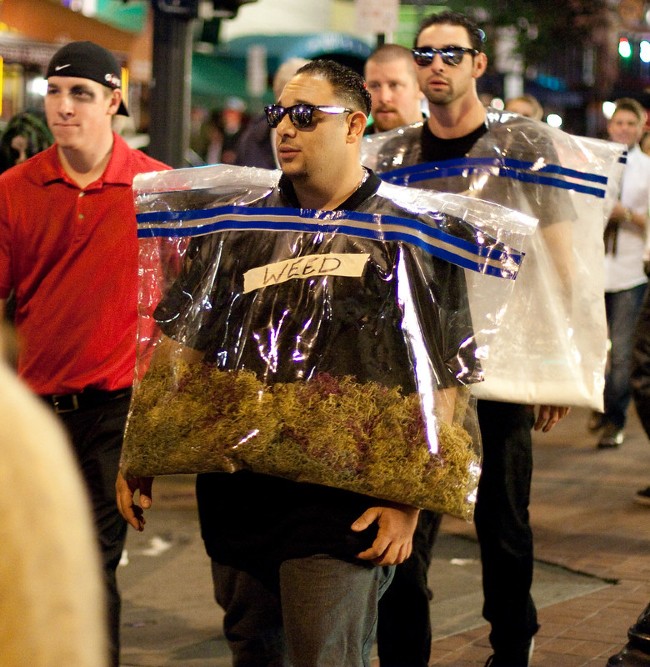 Someone wearing a bag of weed halloween costume