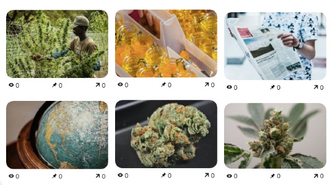 Weed content on pinterest with zero views