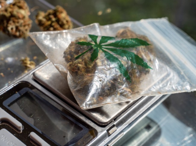 Cannabis inside of a dime bag