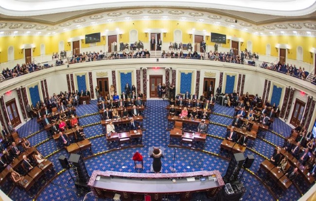 The Senate
