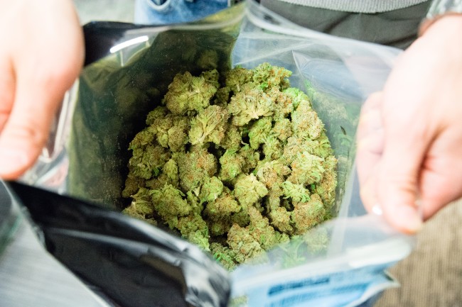 A big bag of weed