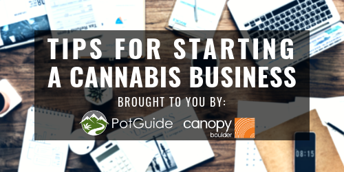 Tips For Starting a Canna-Biz