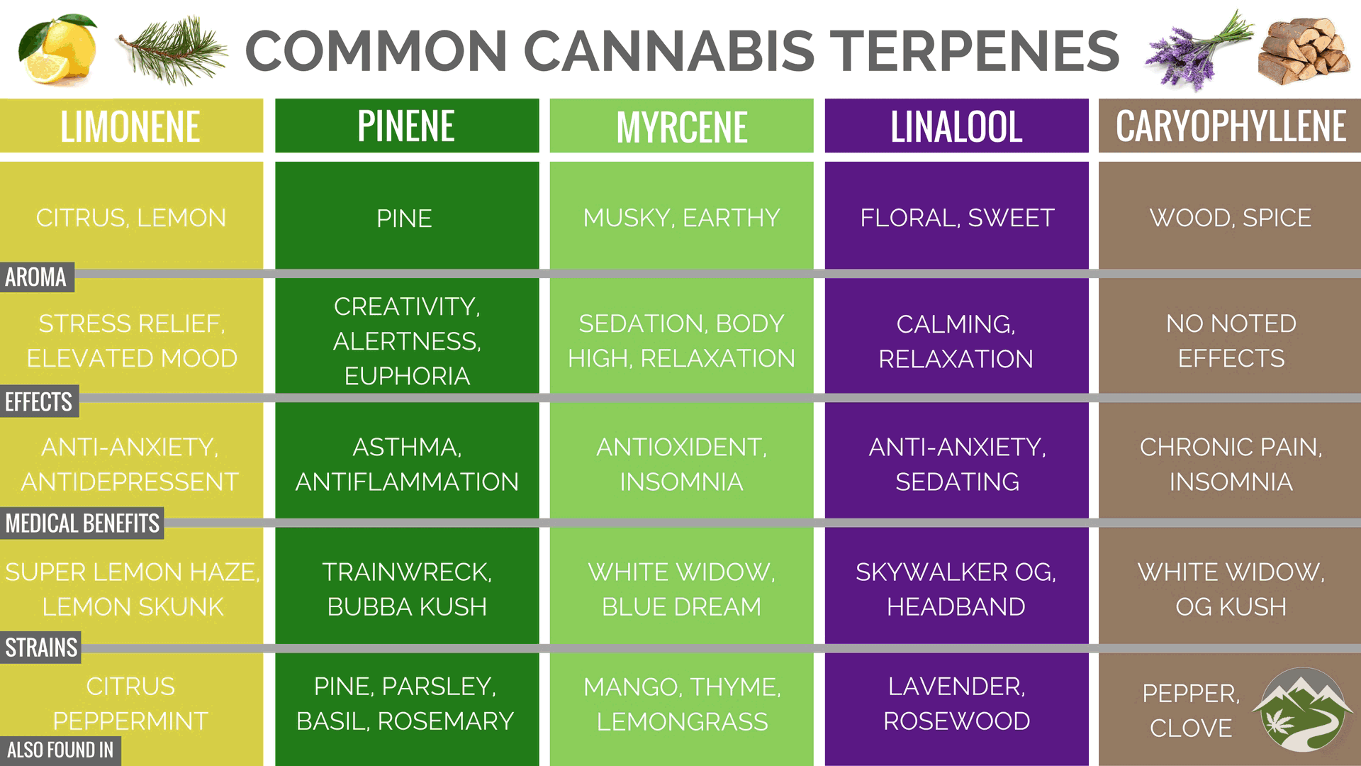 Cannabis Concentrates Guide | PotGuide.com