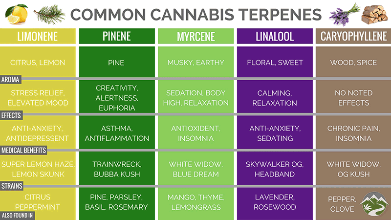 Chart of Terpenes