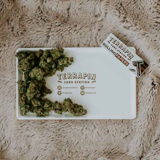 Cannabis Gift Guide PotGuide