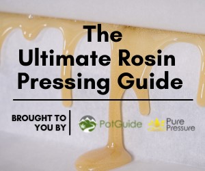 Rosin Pressing Guide