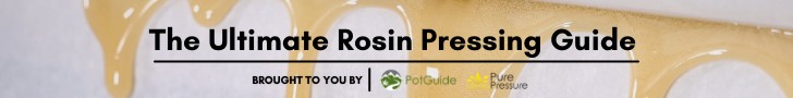Rosin Pressing Guide