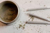 2018 Gift Guide: For Beginners