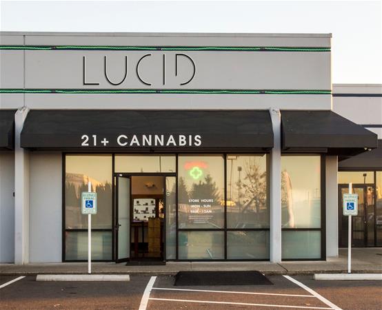 lucid auburn lucid auburn