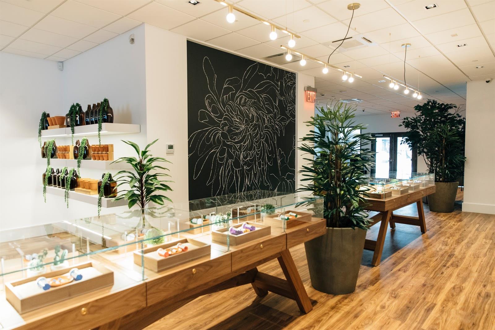 The Botanist Queens Marijuana Dispensary in Jamaica