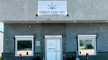 urban leaf