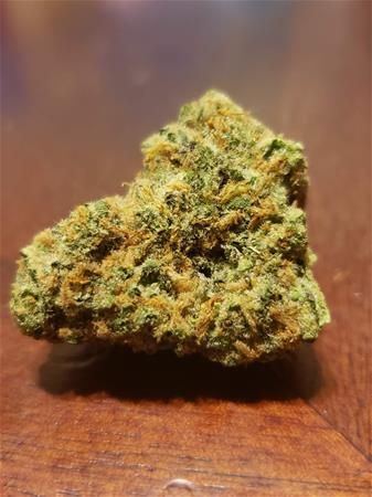 bloom medicinals bloom medicinals