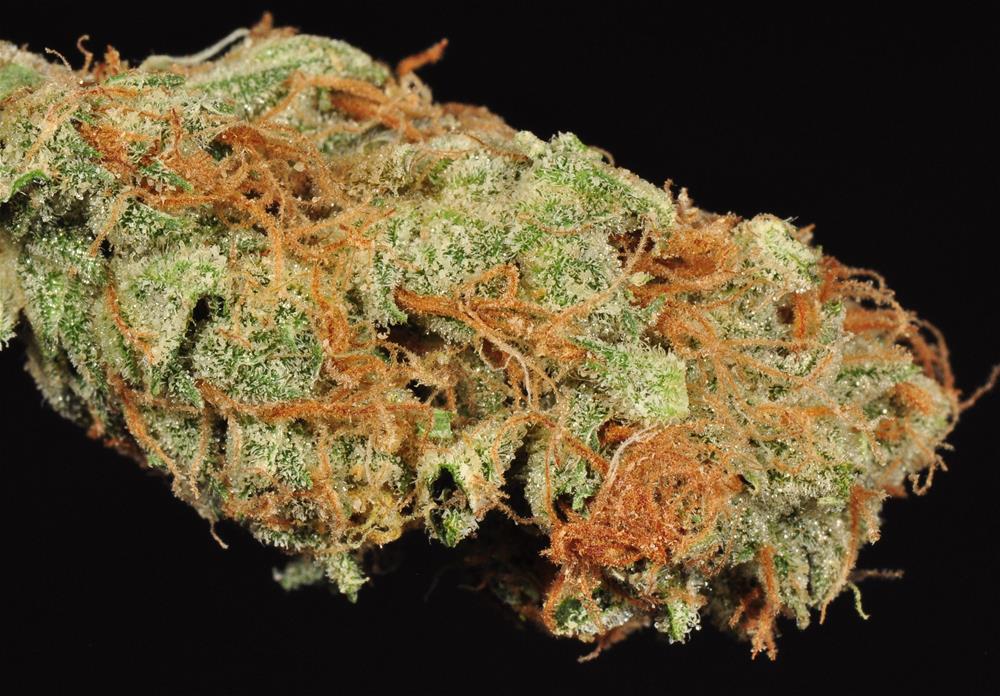 Agent Orange Marijuana Strain Library Potguide Com