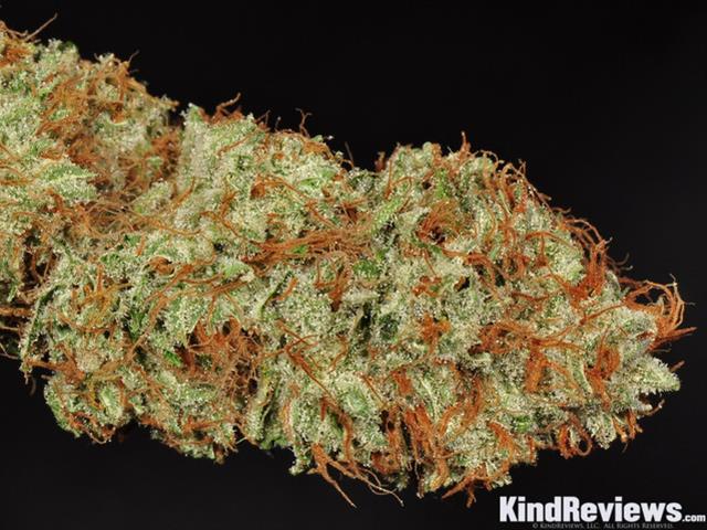 White Slipper Strain - Hybrid Cannabis Review, CBD, THC : Hytiva