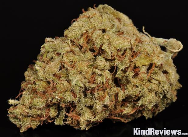 Killer Queen Marijuana Strain Library