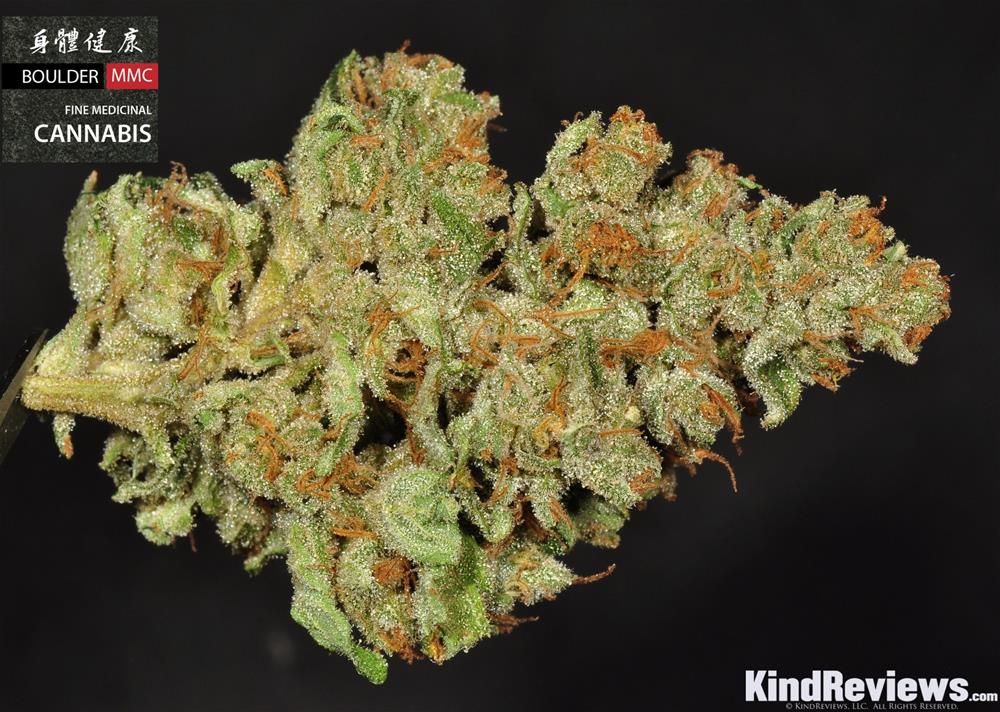 Moby Dick Marijuana Strain Library Potguide Com