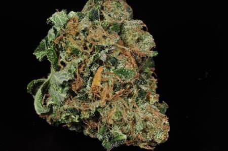 Headband Marijuana Strain Library Potguide Com