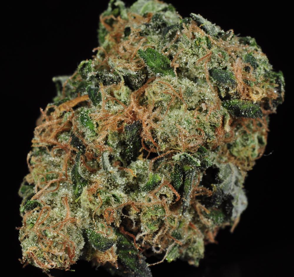 Headband Marijuana Strain Library Potguide Com