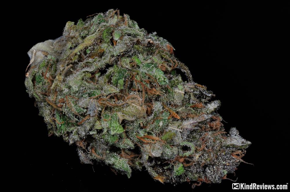 Buy Maui Wowie Weed/Marijuana Strain - AIOWS