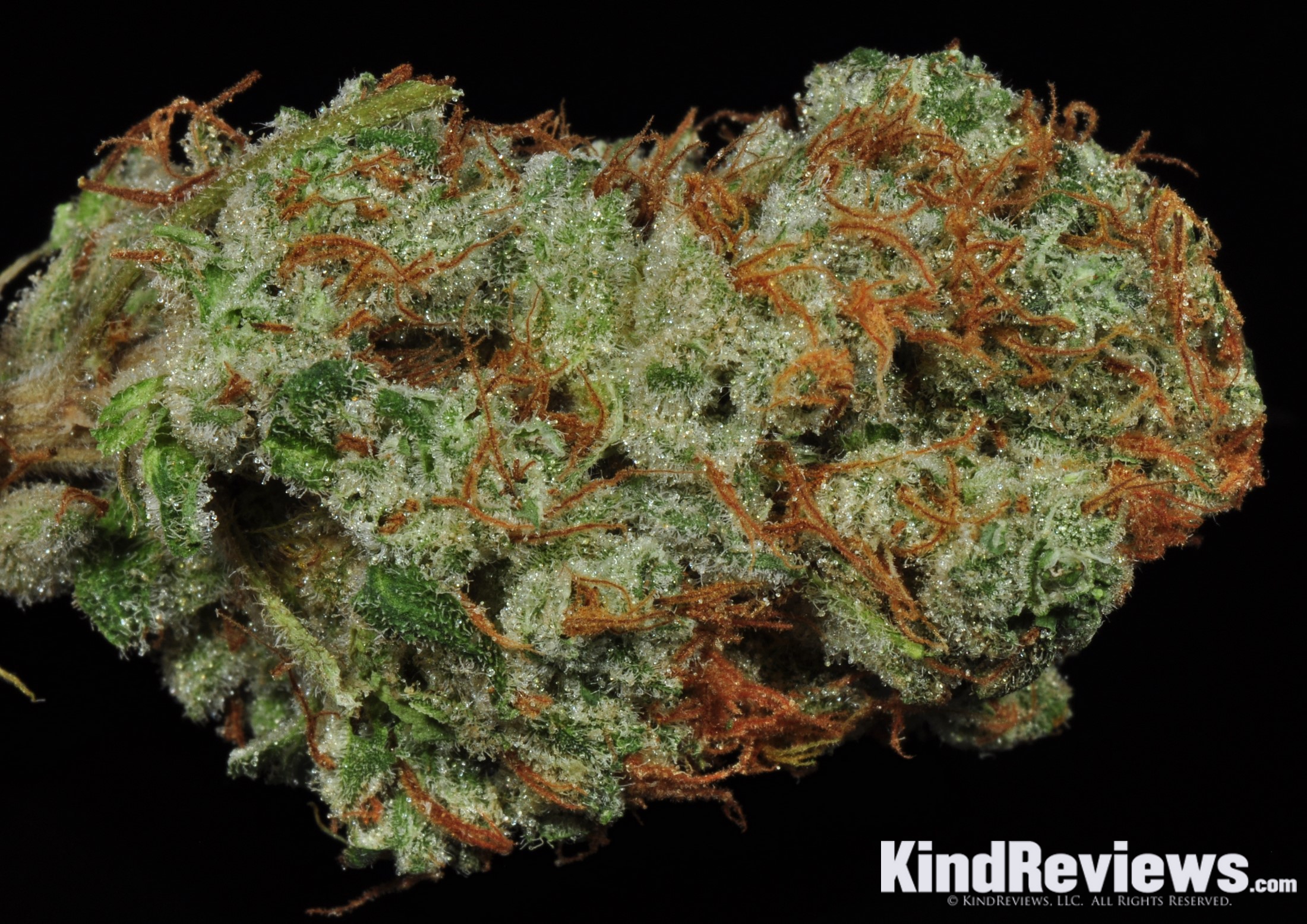 Blue Kush | Marijuana Strain Library | PotGuide.com