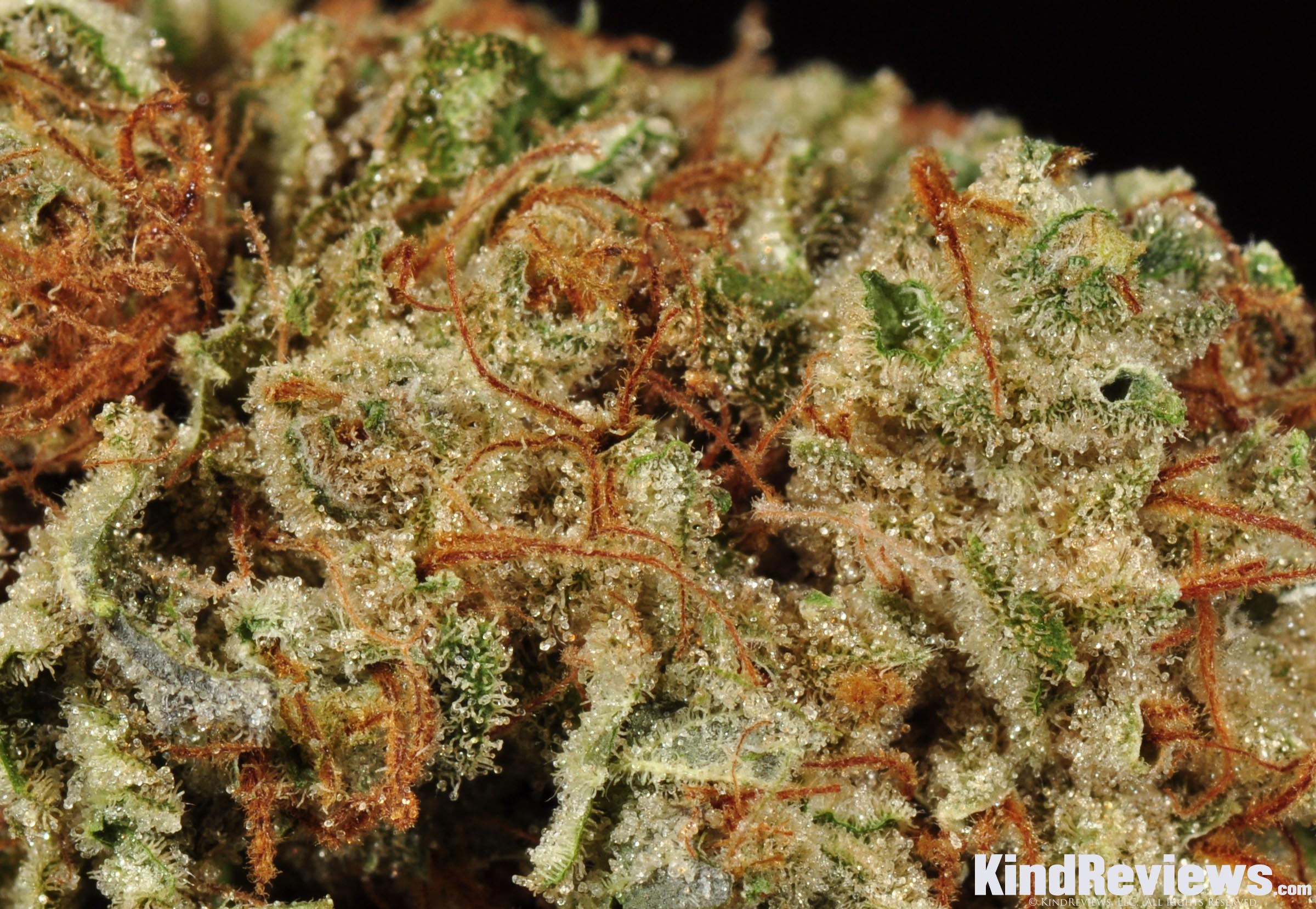 Chem D x Sour Diesel Marijuana Strain Library